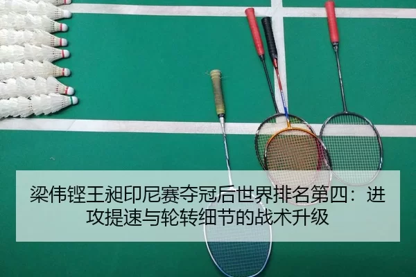 liang-wei-keng-wang-chang-yin-ni-sai-duo-guan-hou-shi-jie-pai-ming-di-si-jin-gong-ti-su-yu-lun-zhuan-xi-jie-de-zhan-shu-3-445.jpg